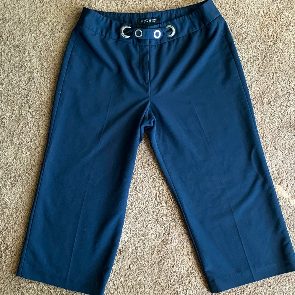 Navy Blue Cropped Pants, Silver Designer touches